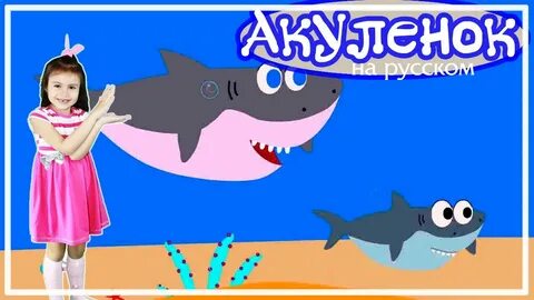 Английская песенка акуленок