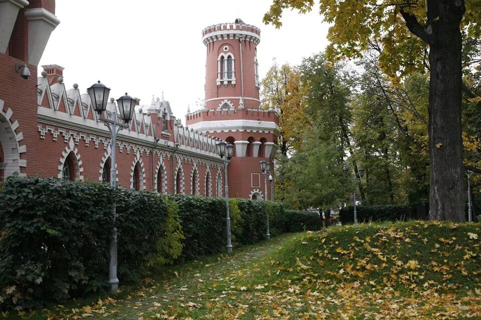 Петровский парк в санкт петербурге - Фото