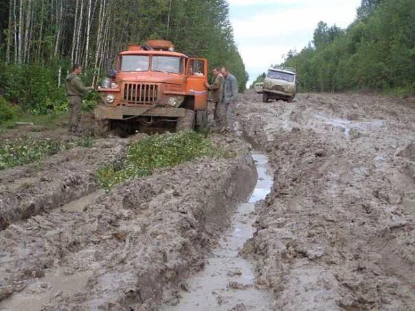 Дорога Парбиг Кедровый. Дорога Кедровый Томск. Томск Парбиг дорога. Зимник Кедровый Томск. Погода кедровый томская область на 10 дней