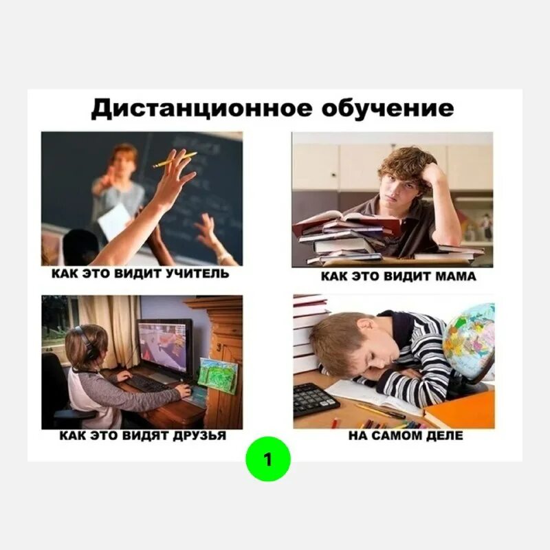 Переведите на дистант. Шутки про дистанционное обучение в картинках. прикольные картинки про учебу. приколы про дистантное обучение в школе. мемы про обучение.