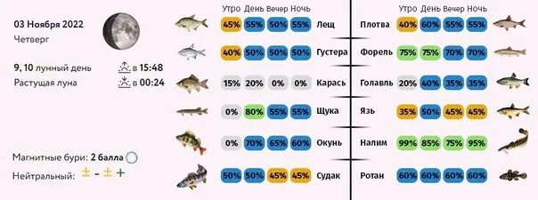 Луна и клев. Фазы Луны и клев рыбы. Клев рыбы по фазам Луны. Влияние фаз Луны на клев рыбы летом.