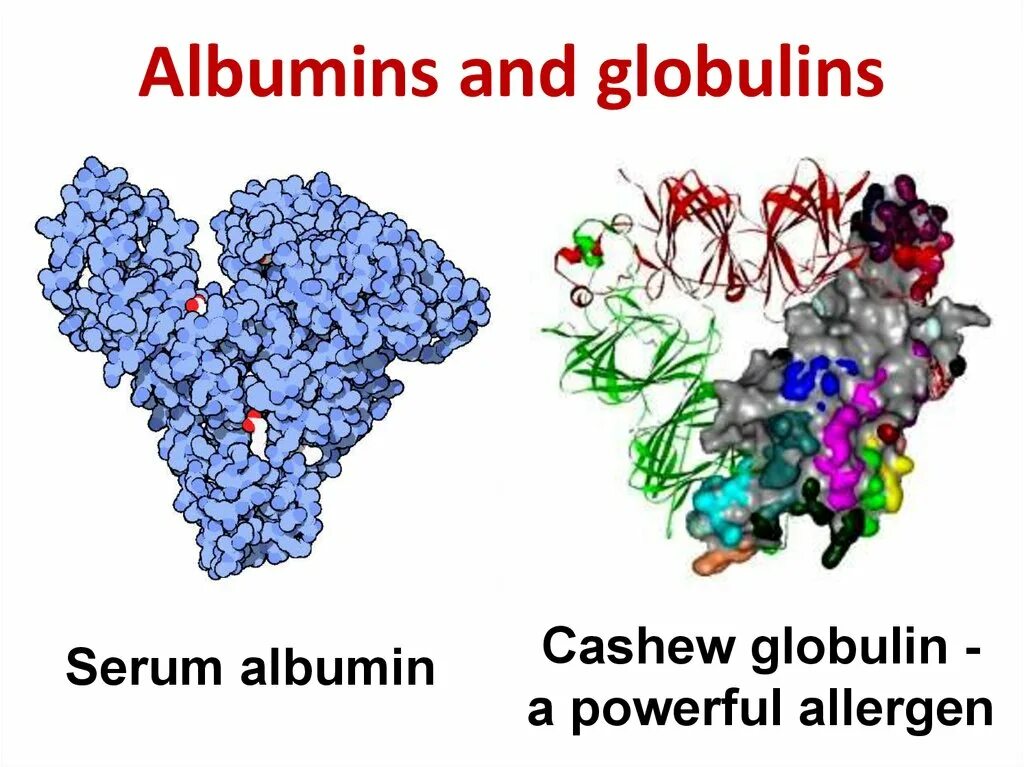 Альбумины и глобулины. Альбумин и Альфа глобулин. Protein химия.