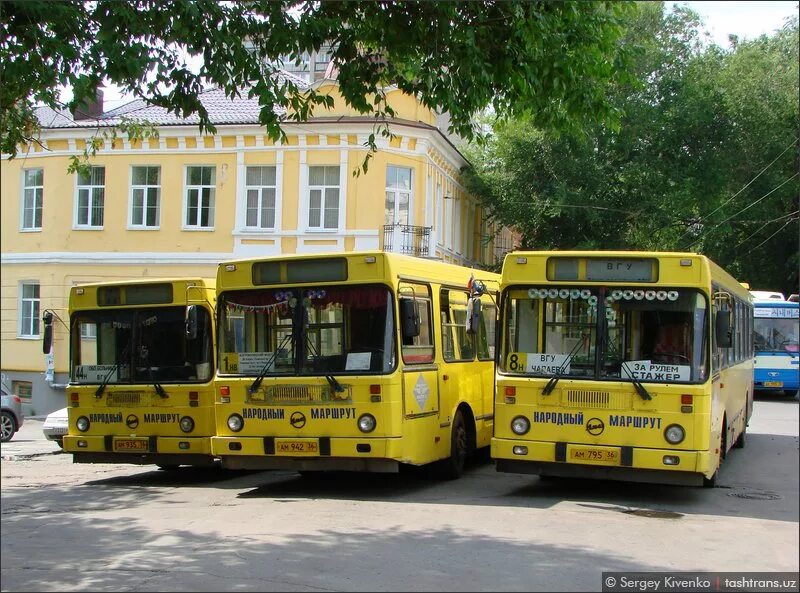 Городской транспорт воронеж. Народный маршрут Воронеж. Воронеж транспорт. Народный автобус.