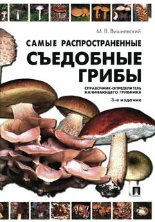 Какие съедобные грибы можно есть