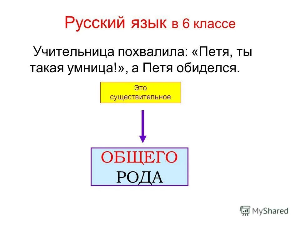 жюри общий род