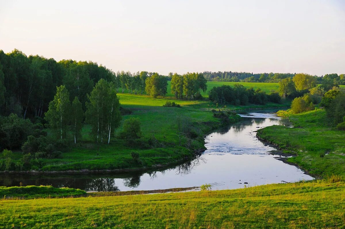 Какая природа в московской области. Река Руза Московская область. Река Руза Шаховская. Река Руза в Шаховском районе. Старая Руза река Руза.