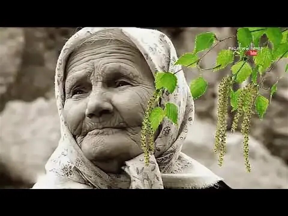 А мне бы встать проснуться и взлететь. А мне бы встать проснуться и взлететь
