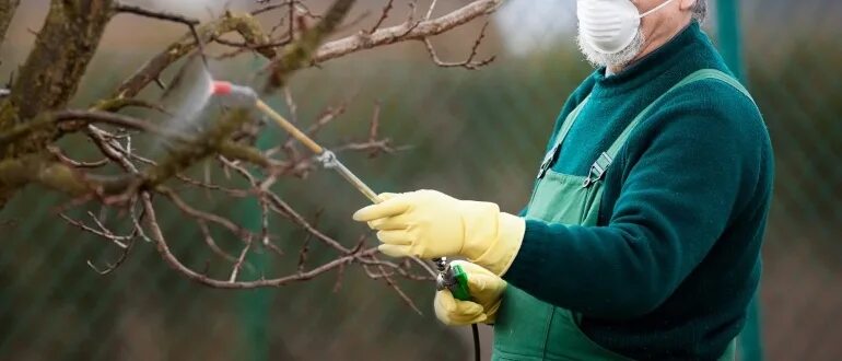 Обработка деревьев весной. Опрыскивание сада весной. Весенняя обработка сада от болезней и вредителей. Защита косточковых.