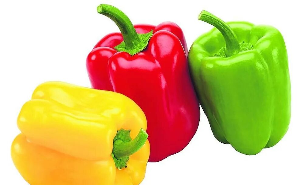 Funk do mil pimientos. Пимиенто. pimientos. pimiento. pimenton.