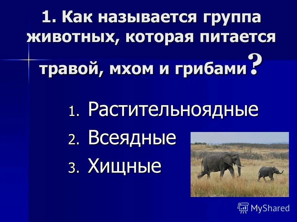 Тест окружающему миру 3 класс плешаков животноводство