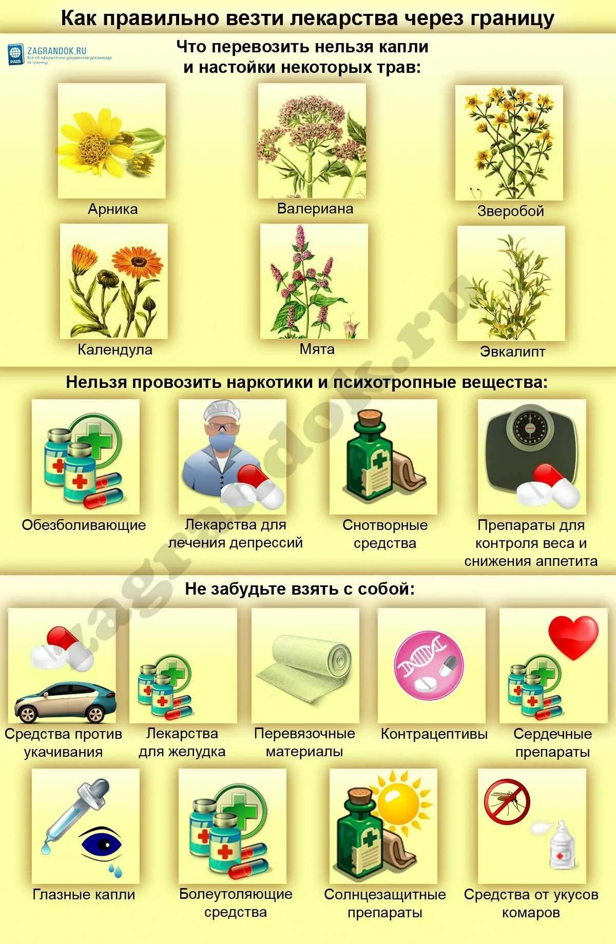 Что можно провозить через границу. Что нельзя провозить через границу. Что можно перевозить через границу. Запрещенные продукты для провоза через границу. Какие лекарства можно провозить через границу.