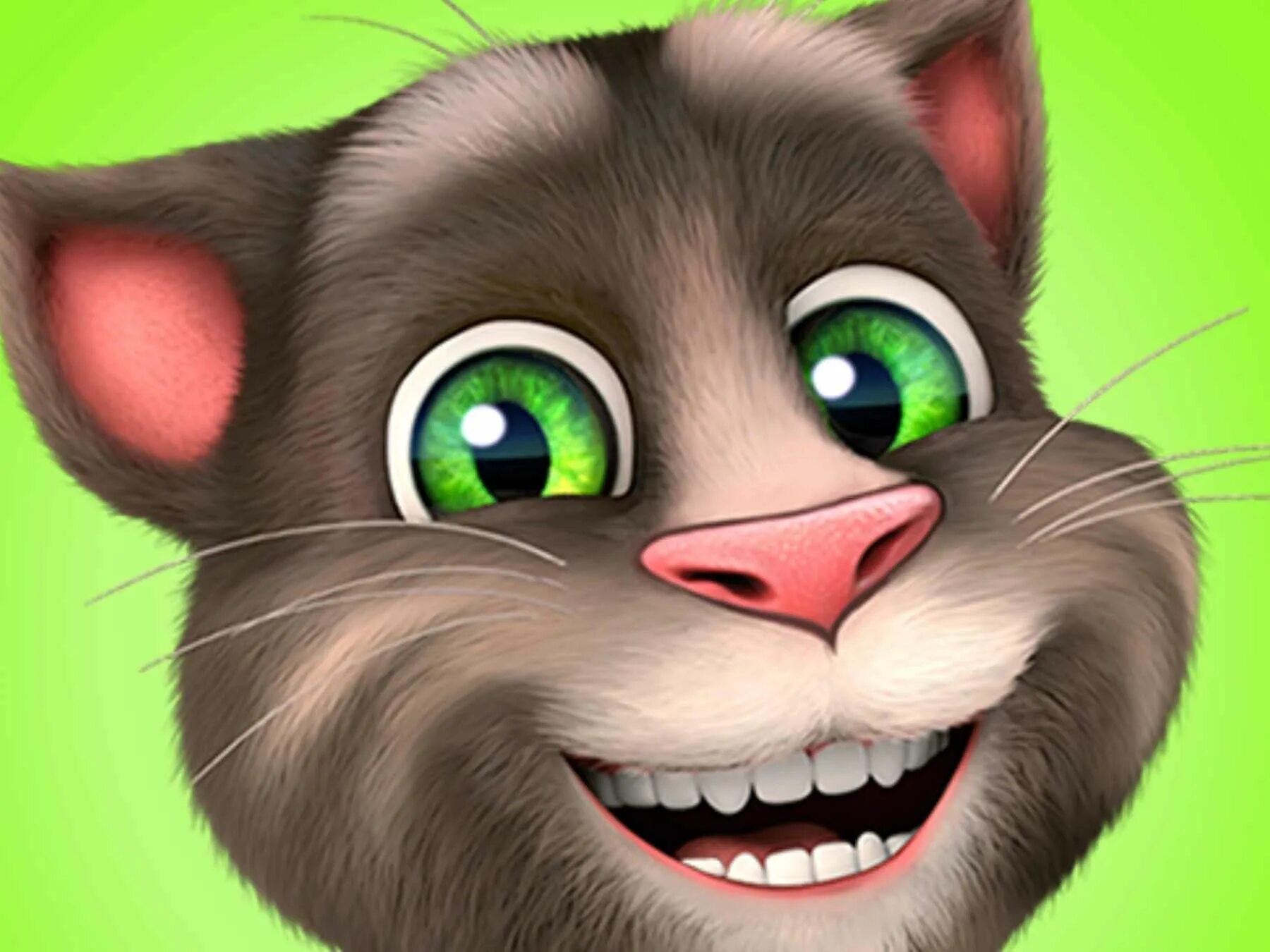 Самая 1 версия мой говорящий том. Talking Tom. Talking Tom Cat 2. Говорящий отм. Котик том.