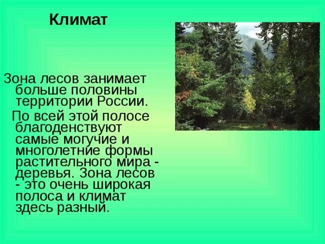 Климат зоны лесов. Лесная зона. Сообщение на тему леса России. Леса России доклад. Природные условия в зоне лесов