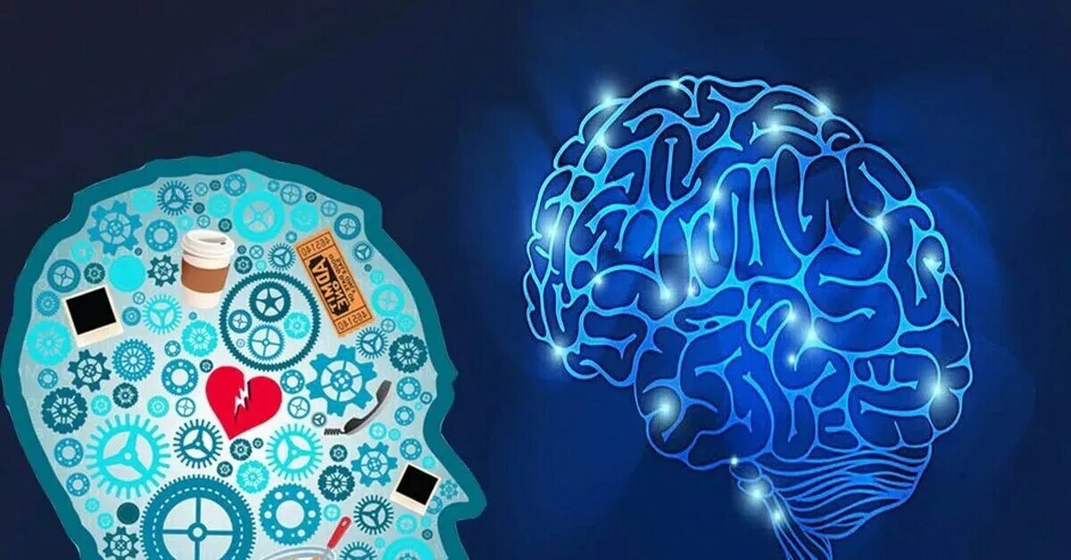 Игры про мозг. Процессы в мозге. Развивающийся мозг. Мыслительный процесс мозг. Психические процессы мозга.