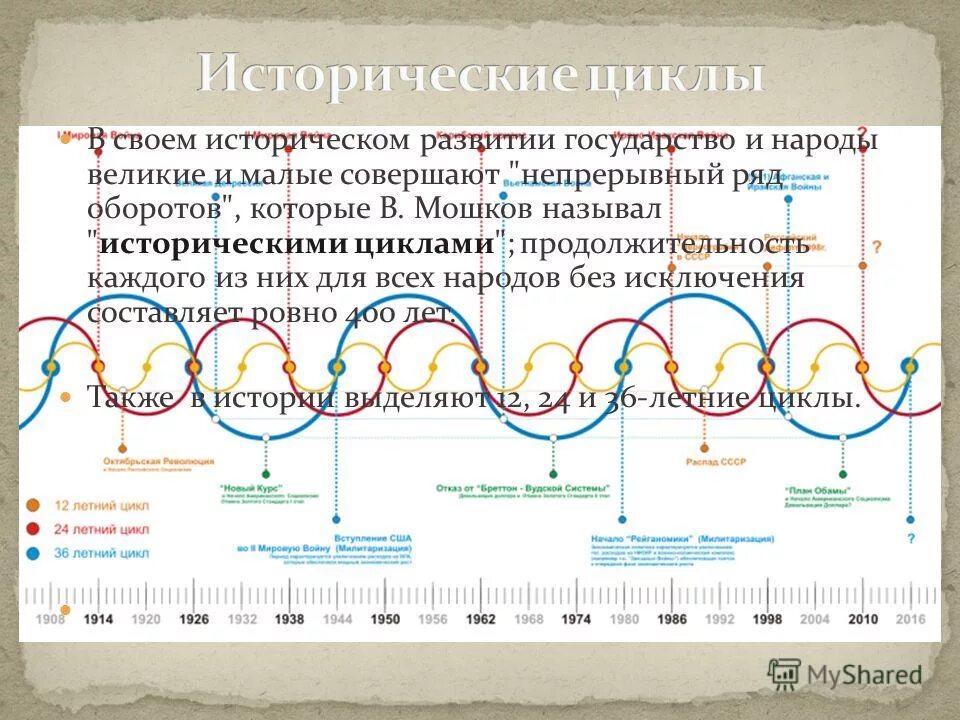 Летние циклы жизни