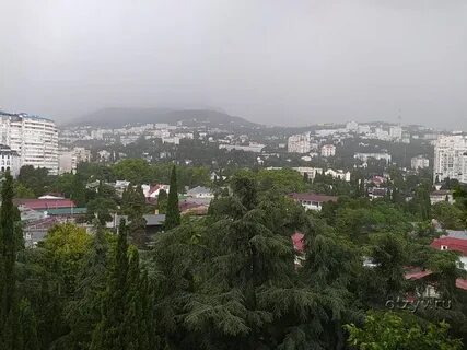 Здоровье ялта