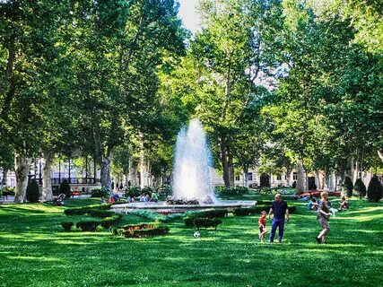 Full park