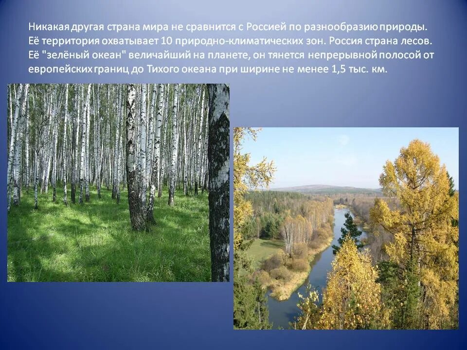 Природно климатические разнообразия россии. Многообразие природы России. Россия Страна лесов. Природа России разнообразие природы России. Многообразие нашей страны природа.