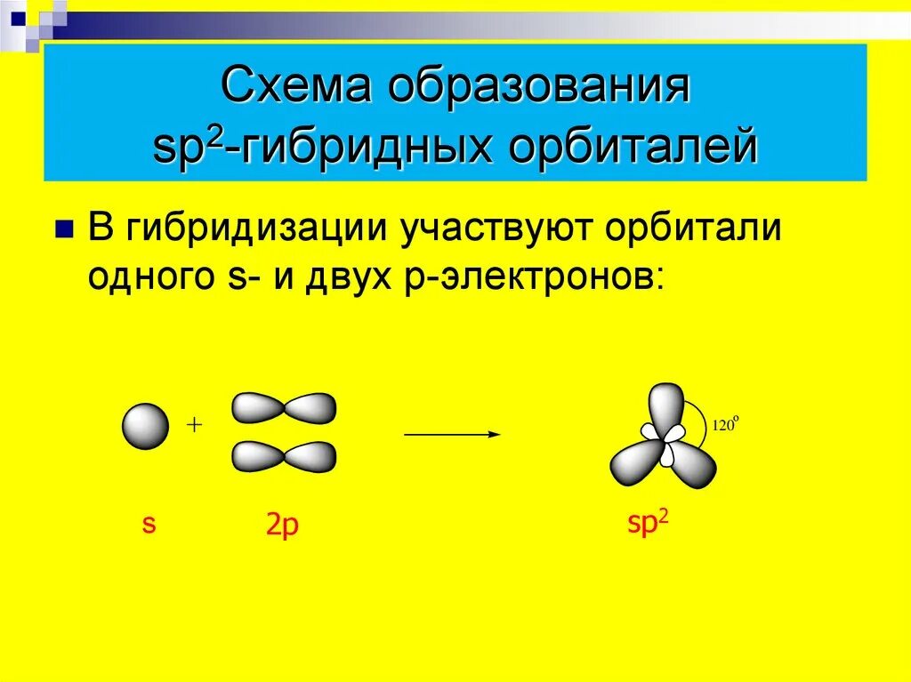 Гибридизация образования. Гибридизация атомных орбиталей SP, sp2 sp3. Схема образования sp2 гибридных орбиталей. Схема образования SP -гибридных орбиталей. Схема образования sp3 гибридных орбиталей.