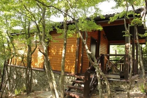 Широкая балка чайка