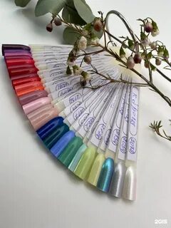 Вишня новокузнецкая
