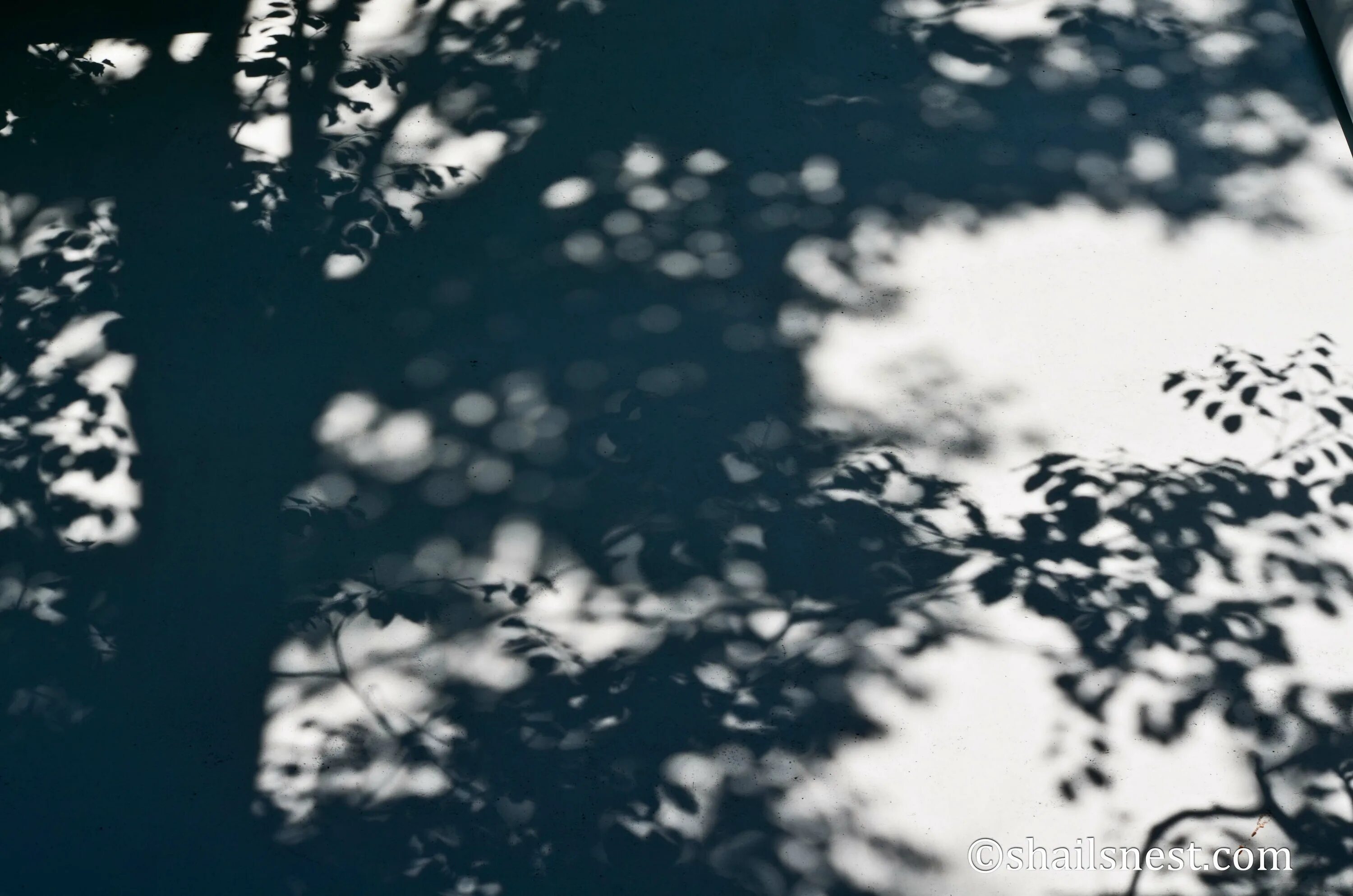 Texture shadows