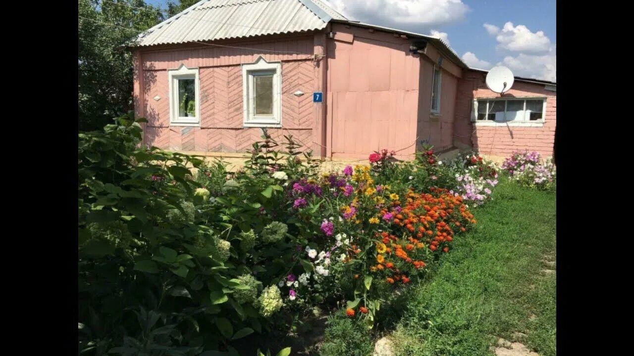 Село сафоновка. Ольховатка белгородская. Погода в сафоновка белгородская область. Погода в сафоновка белгородская область. Село сухосолотино.