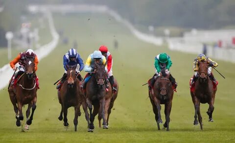 Live horse racing