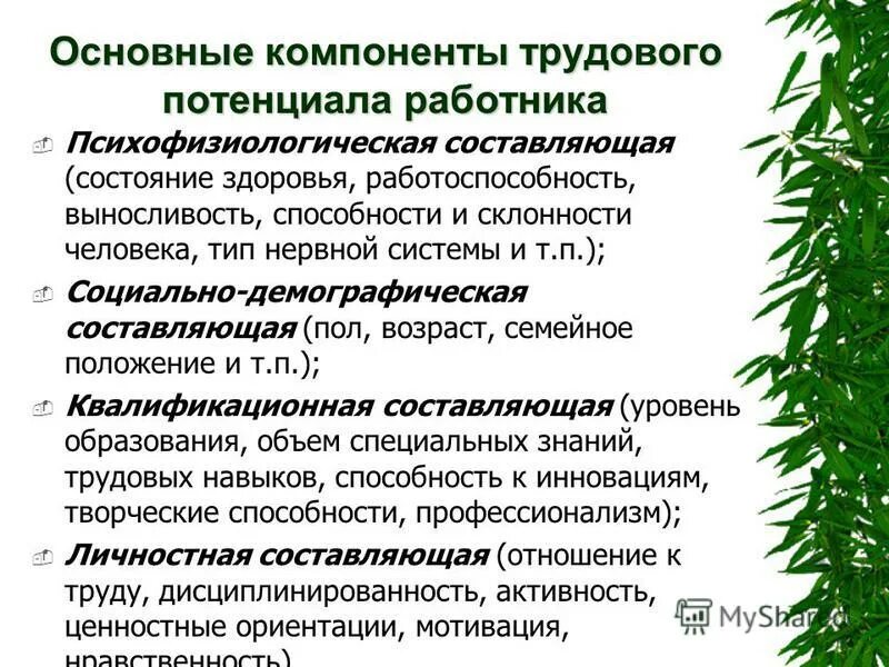 компоненты трудового потенциала. психофизиологический потенциал работника. основные компоненты трудового потенциала. компоненты трудового потенциала работника. компоненты трудового потенциала работника.