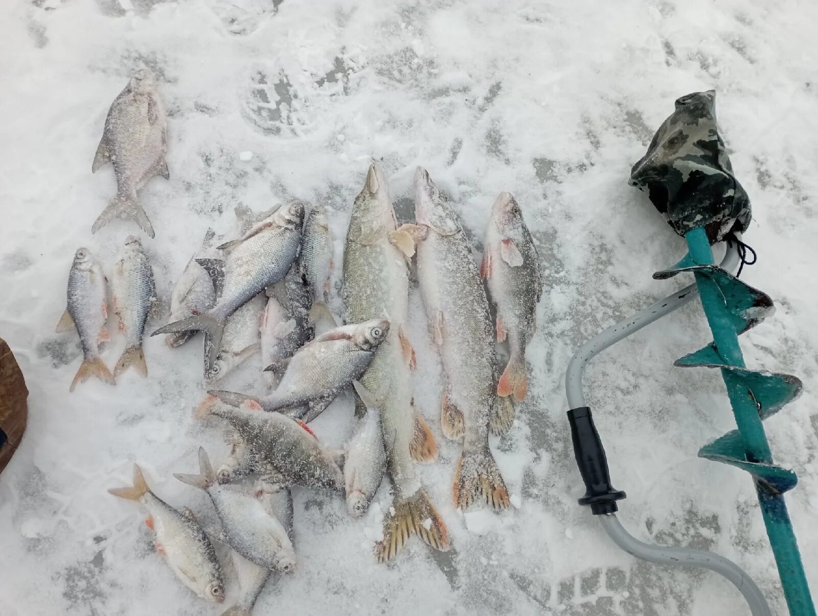 Вазузское водохранилище рыбалка. Ярыгино Вазузское водохранилище. Долгобродское водохранилище рыбалка. Истринское водохранилище рыбалка 2022 декабрь. Русское водохранилище рыбалка