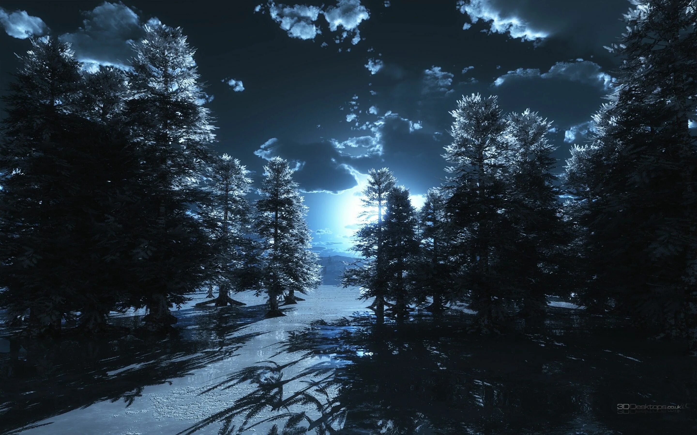 4 вечера темно. Ночной зимний лес. Заснеженный лес ночью. Зимняя ночь. «Ночь в лесу».