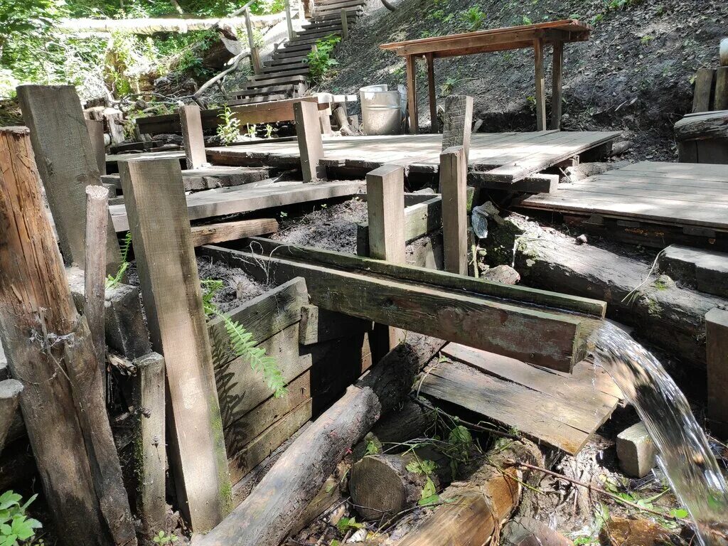 михайловская роща томск