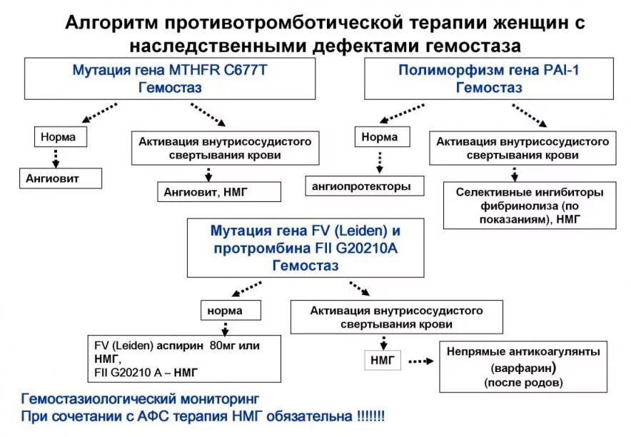 Гена pai 1. Антифосфолипидный синдром (АФС). Схема наследования тромбофилии. Патогенез антифосфолипидного синдрома схема. Антифосфолипидный синдром алгоритм диагностики.