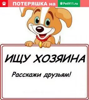 Ищу семью пиши я