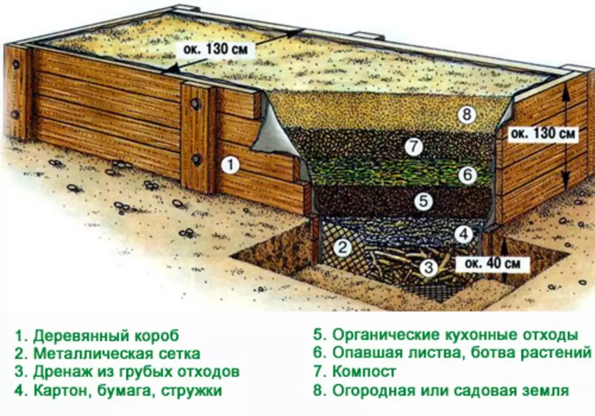 Грунт в теплой грядке. Теплые грядки схема послойно. Схема заполнение теплой грядки. Высокие грядки наполнение схема. Теплые грядки послойно.