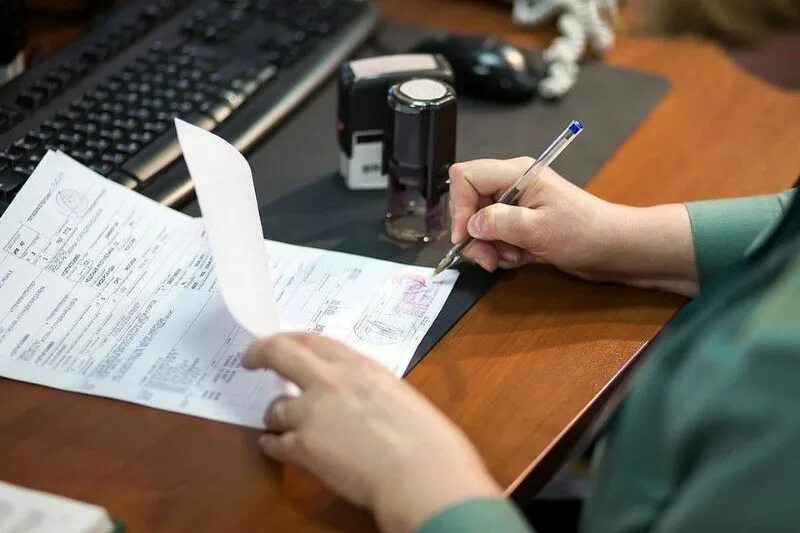 Декларирование таможенным представителем. Таможенное декларирование. предварительное декларирование. недекларирование товаров. недостоверное декларирование.