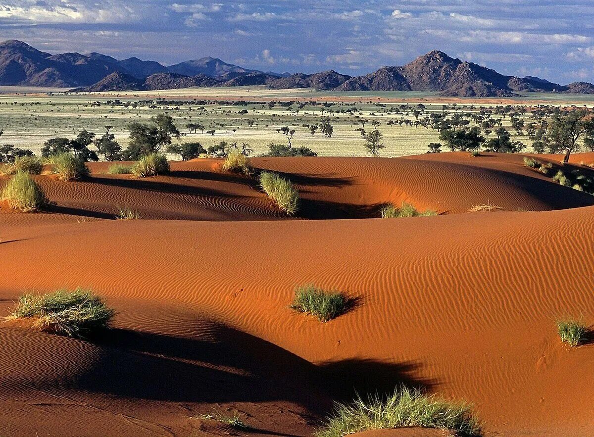 Намибия пустыня Намиб. Намибия пустыня Калахари. Африка пустыня Калахари. Пустыни: сахара, Намиб, Калахари.