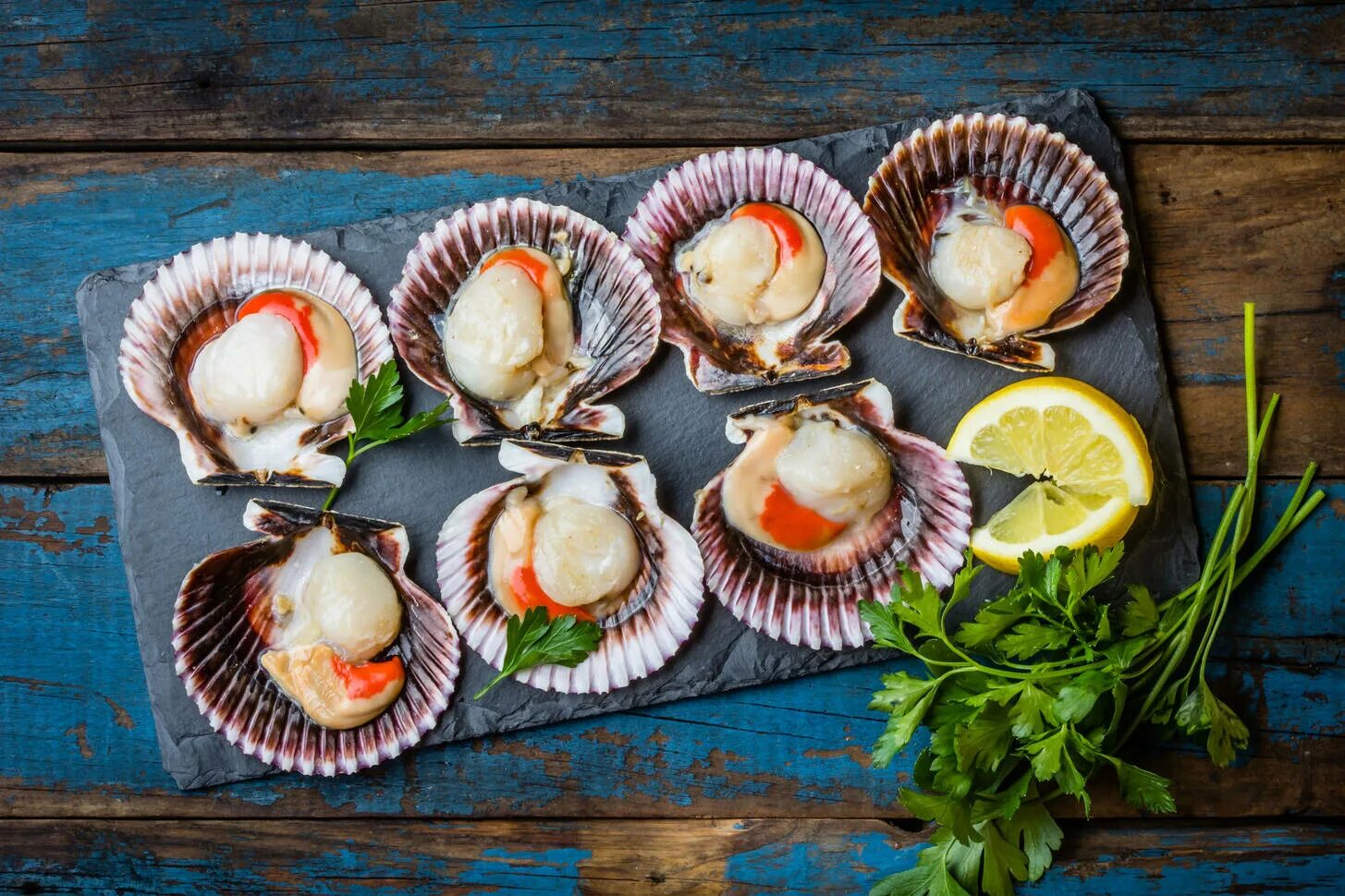 Запеченные морские гребешки. Морской гребешок Дальний Восток. Гребешок на полустворке. Королевский гребешок. Морской гребешок Scallops.