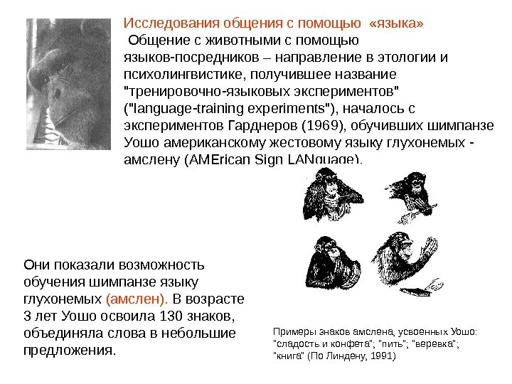 Методика изучение общения. Способы коммуникации животных. Коммуникация человека и животных. Методы изучения языка животных. Язык общения животных.