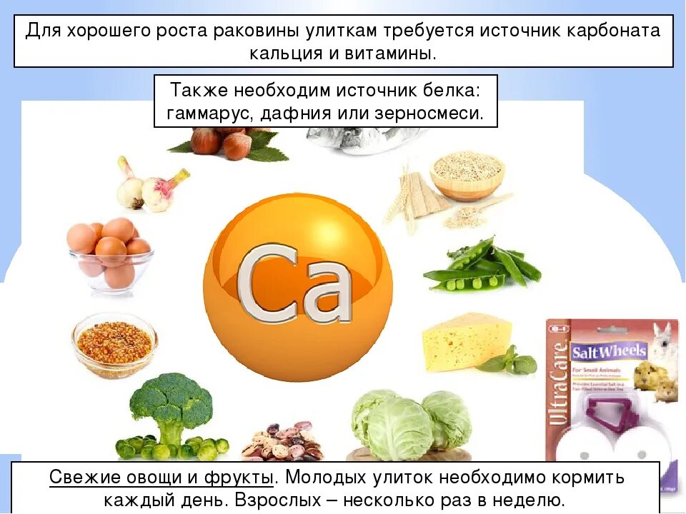 Продукты содержащие большое количество витамина д. Витамин д продукты. Витамин д содержится в продуктах. Продукты содержащие витамин д. Витамин д в каких продуктах.