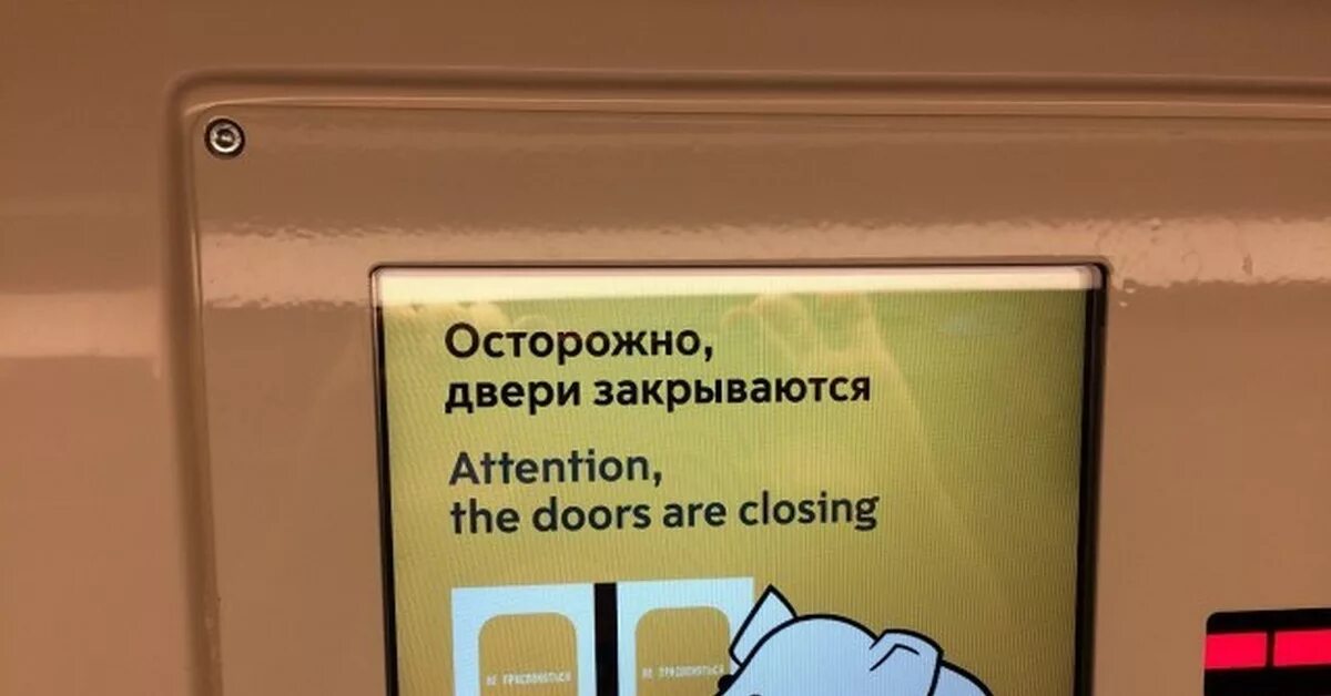 Слоник в метро двери. Слоник в метро двери закрываются. Осторожно, двери закрываются. Слоник в Московском метро.