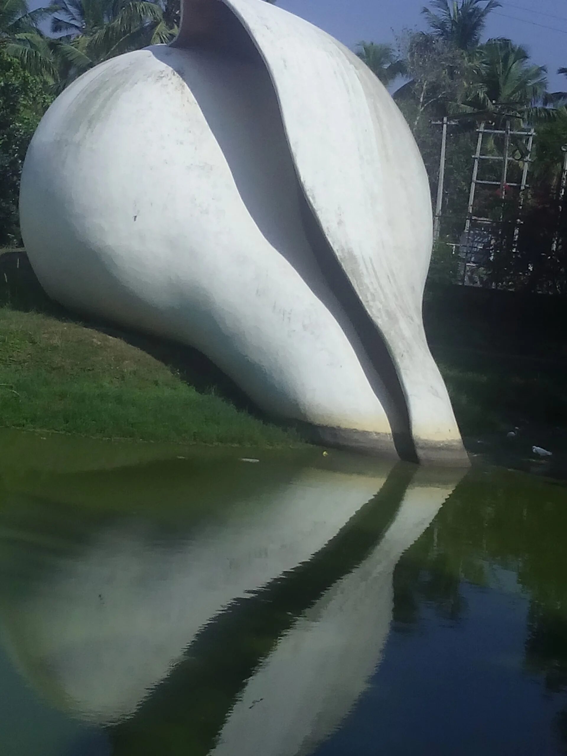 Big shell. Биг шелл. the biggest shell in the world. struct d big shell. что такое huge ballei.