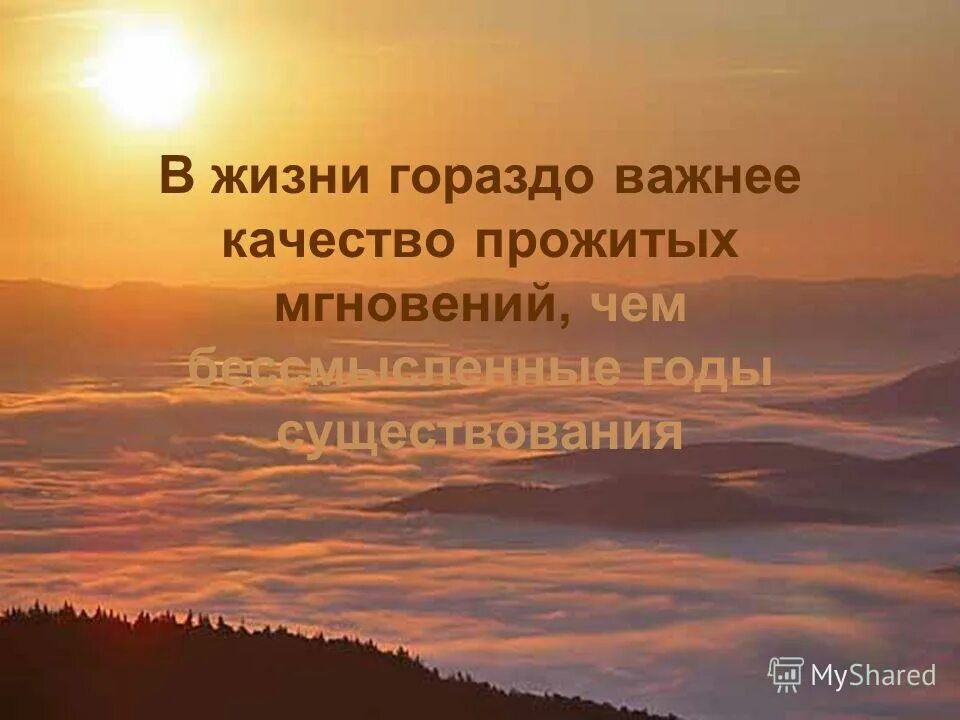 Афоризмы про заботу и внимание. Жизнь гораздо. Жизнь намного проще чем кажется. В моей голове жизнь гораздо интереснее картинка. В этой жизни помереть не трудно.