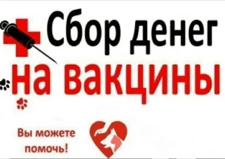 Внимание сбор средств