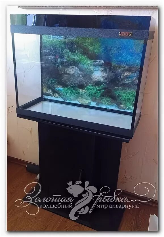 Длинный аквариум. Аквариумы карте. Магазин аквариумистики в москве. Стол аквариум. Фирмы по производству аквариумов.