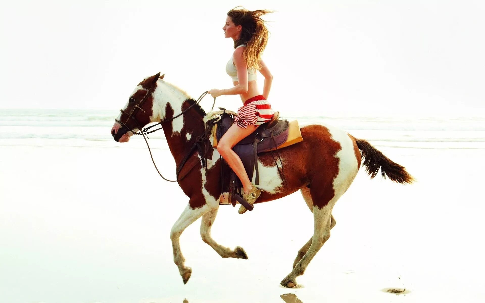 Жизель Бюндхен на коне. Жизель Бундхен на лошади. Девушка на коне. Девушка с лошадью.