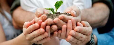 Grow family