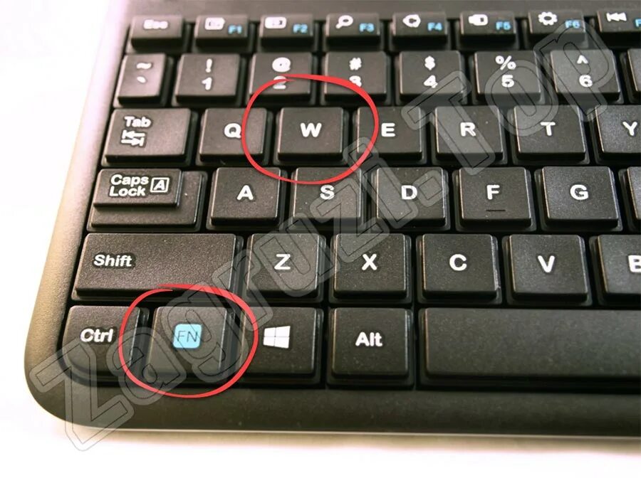 Кнопка FN на клавиатуре компьютера. Нет кнопки FN на клавиатуре. FN кнопка на клавиатуре. Клавиша FN на клавиатуре. Что делать если поменялось управление