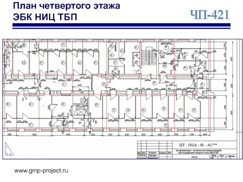 Четвертый проект. План помещений вивария. Виварий планировка. Виварий для лабораторных животных планировка помещений. Типовой проект вивария.