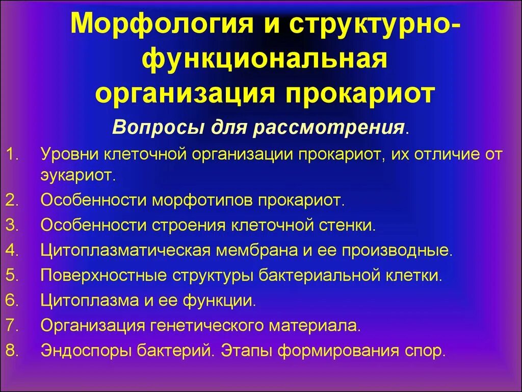 Функциональная организация клетки. Структурно-функциональная организация прокариотических клеток. Структурно-функциональная организация клетки. Структурная организация клетки. Особенности структурной организации прокариот.